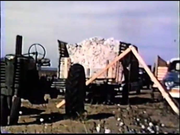 Loaded cotton trailer