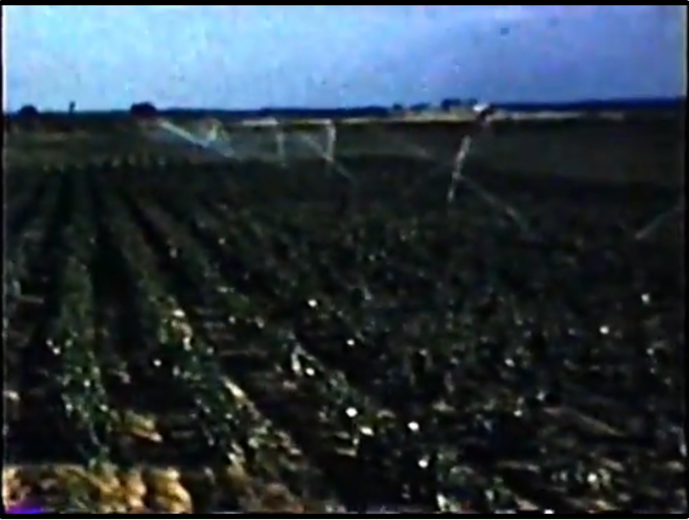 Sprinkler irrigation system