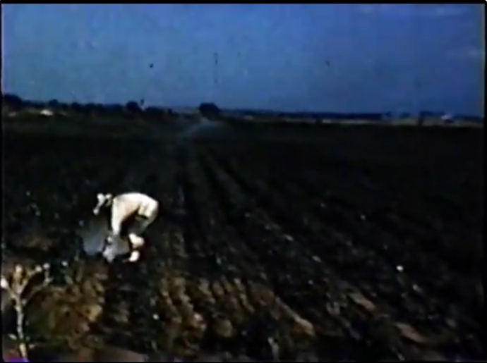 Moving the irrigation pipes