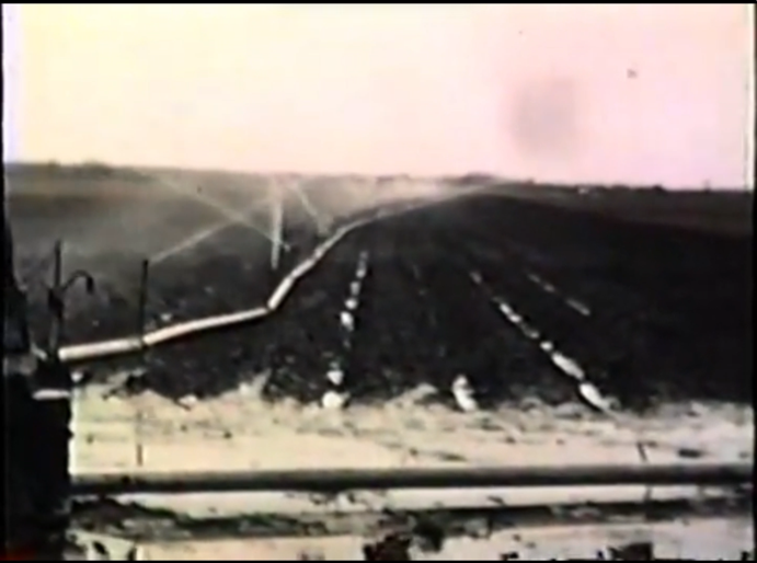 Sprinkler irrigation system