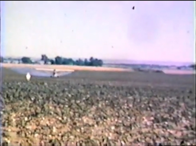 Crop spraying airplane, flagger in the field