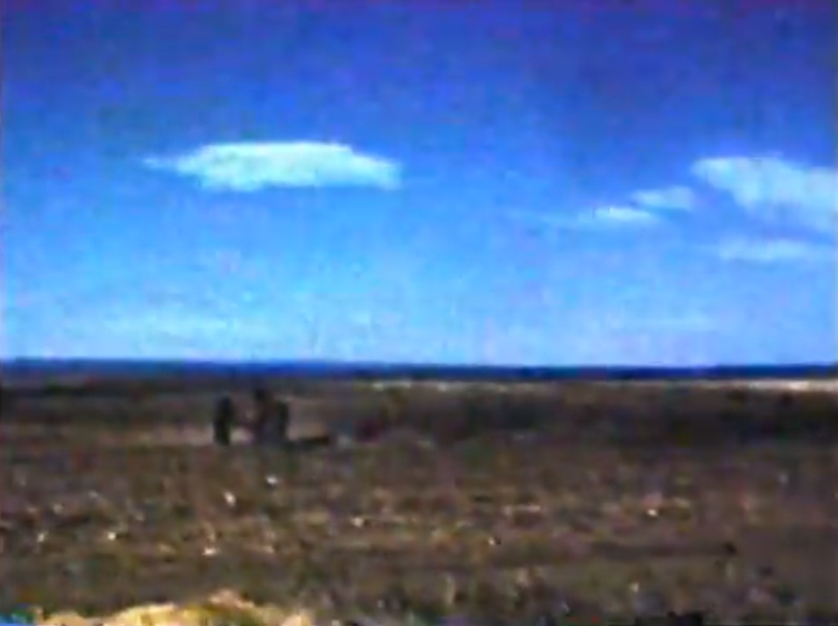 Far away tractor in the field